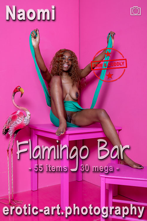 The Pink Series: Flamingo Bar. Actor: Naomi. Artist: Jay Gee. Production: Erotic Art Photography, EAP.