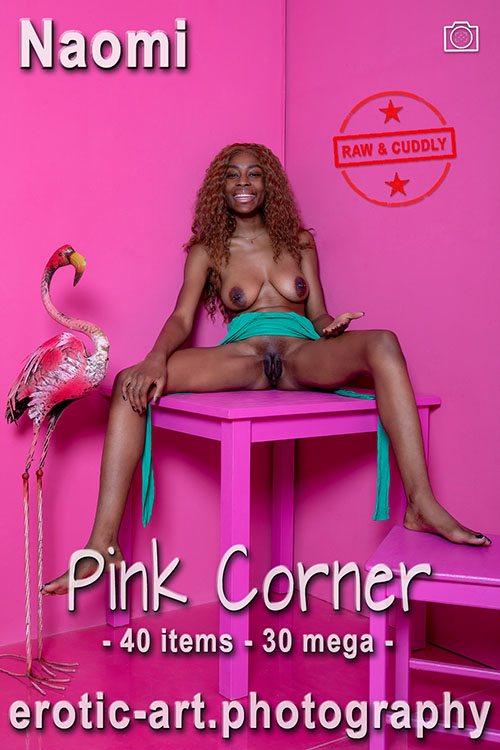 The Pink Series: Pink Corner. Hired: Naomi. Artist: Jay Gee. Production: Erotic Art Photography EAP.